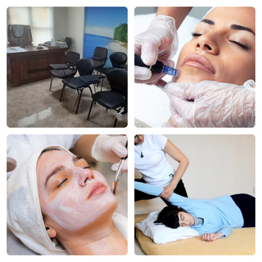 کلاسهای ترکیبی مدرس شو