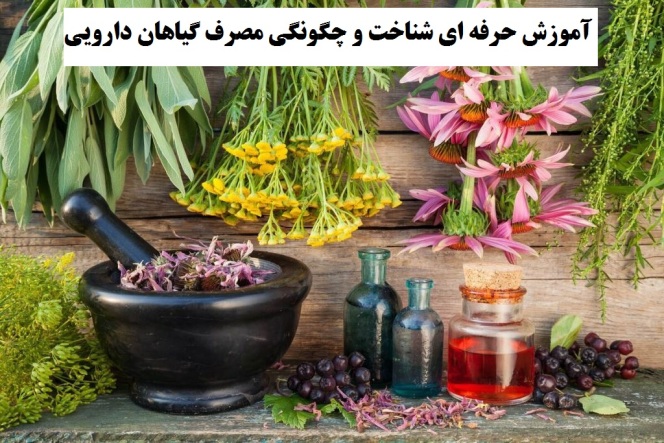 کلاس گیاهان دارویی با اساتید برجسته 